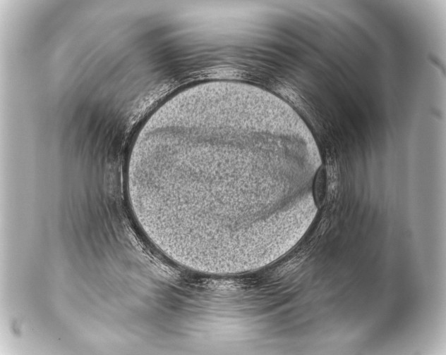 X0000101420349200807280943