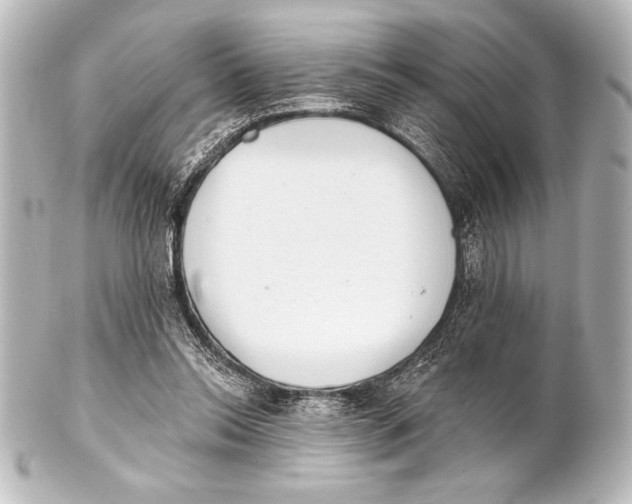 X0000101420350200807280943