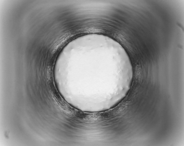X0000101420351200807280943