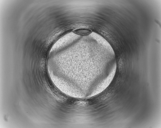 X0000101420352200807280943