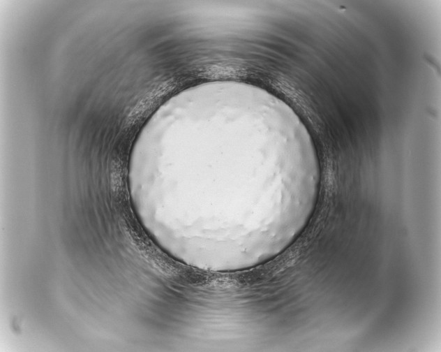 X0000101420353200807280943