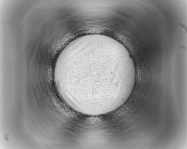 X0000101420354200807280943