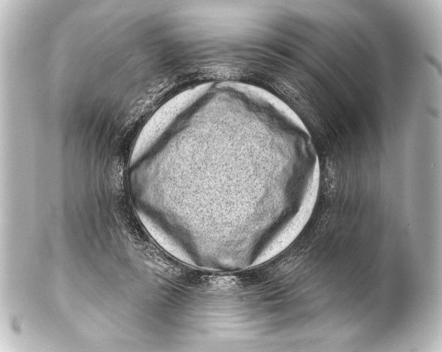 X0000101420355200807280943