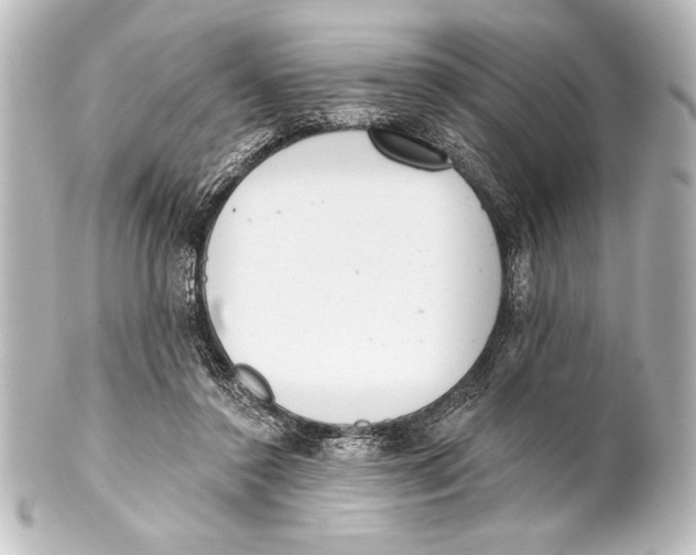 X0000101420356200807280943