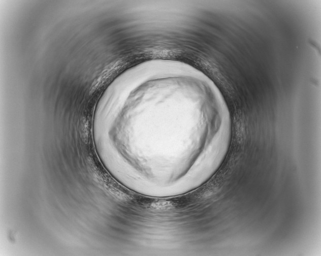 X0000101420357200807280943