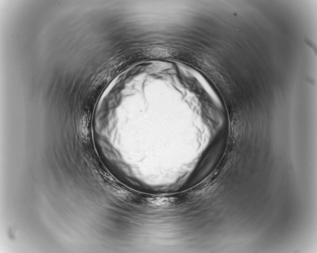 X0000101420359200807280943
