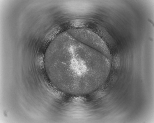 X0000101420360200807280943