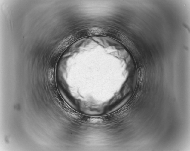 X0000101420361200807280943