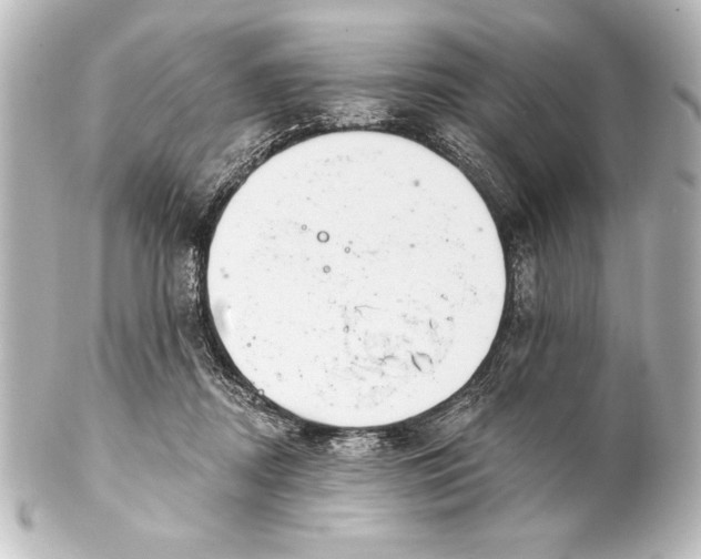 X0000101420362200807280943