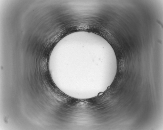 X0000101420364200807280943