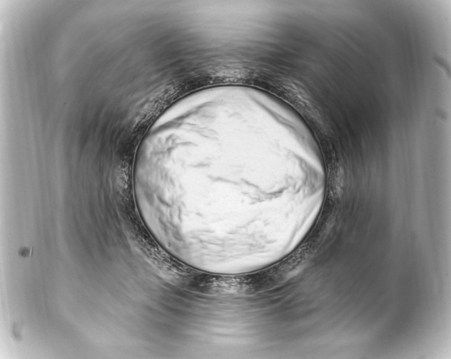 X0000101420365200807280943