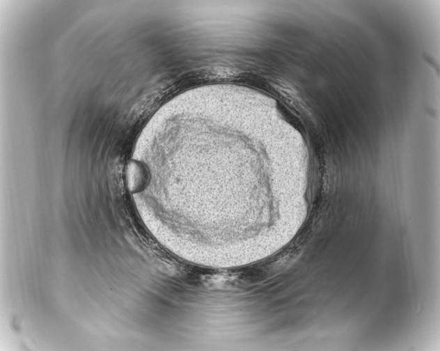 X0000101420366200807280943