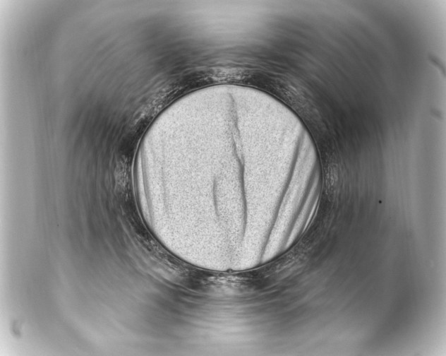 X0000101420367200807280943