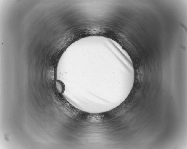 X0000101420368200807280943