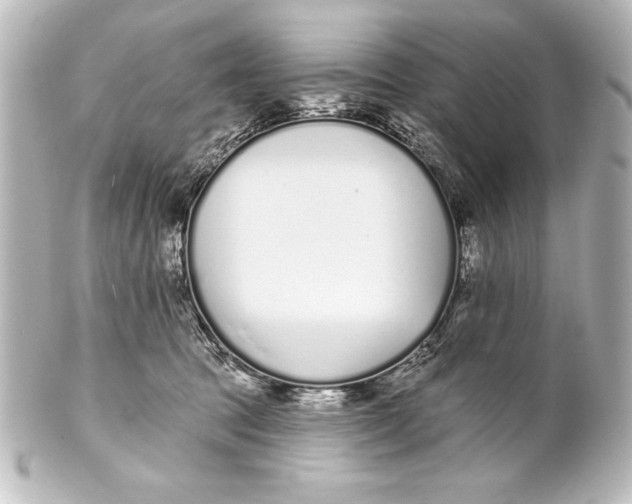 X0000101420369200807280943