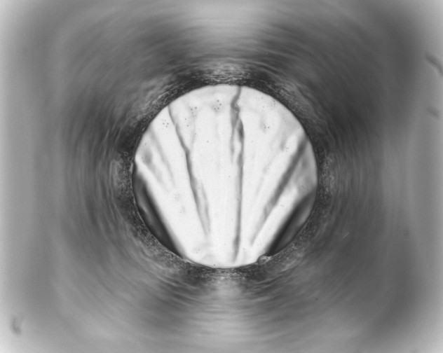 X0000101420371200807280943