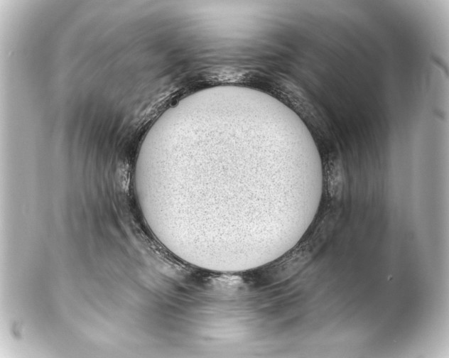 X0000101420374200807280943
