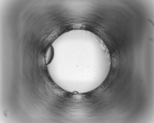X0000101420375200807280943