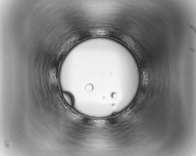 X0000101420377200807280943