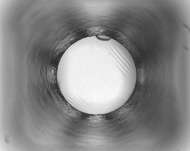X0000101420378200807280943