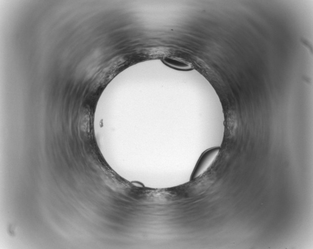 X0000101420379200807280943