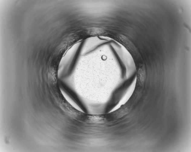 X0000101420380200807280943