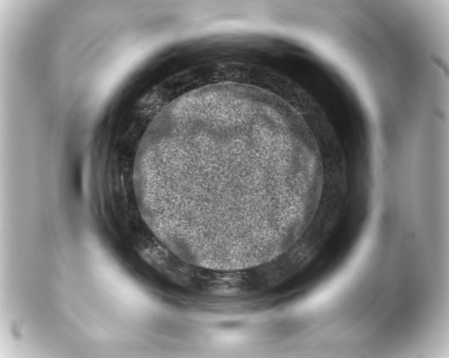 X0000101420382200807280943