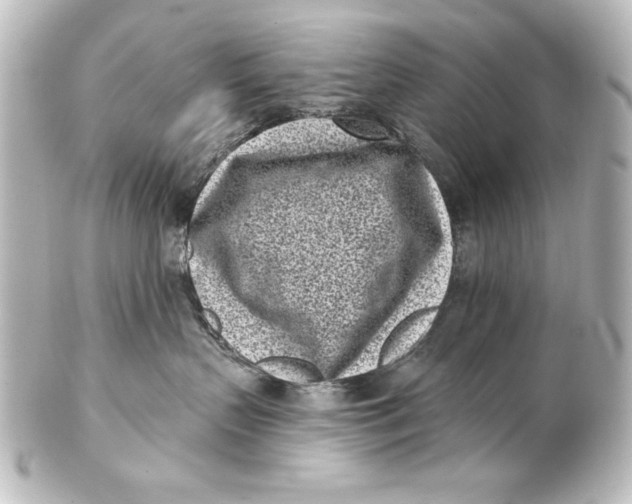 X0000101420383200807280943
