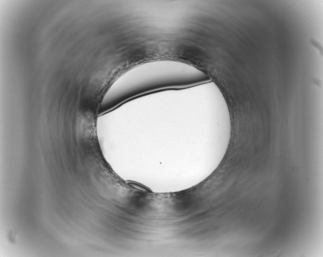 X0000101420384200807280943