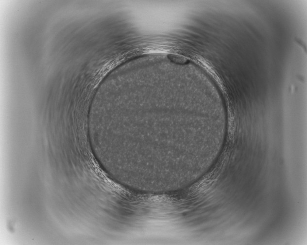 X0000101420385200807280943