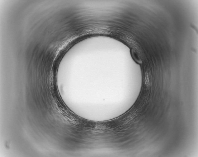 X0000101420388200807280943