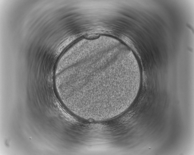 X0000101420389200807280943