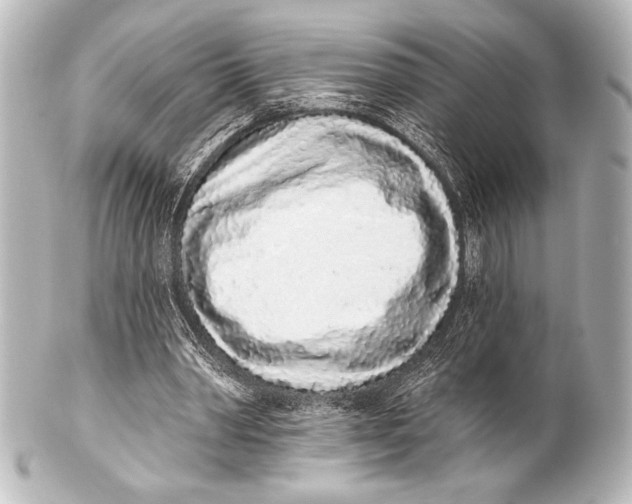 X0000101420390200807280943