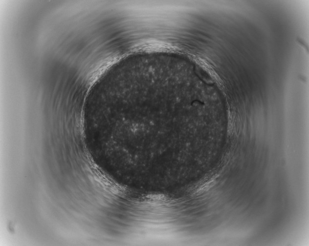 X0000101420391200807280943