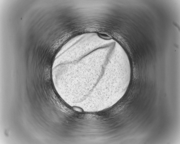 X0000101420393200807280943