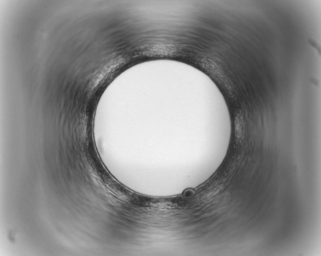 X0000101420396200807280943