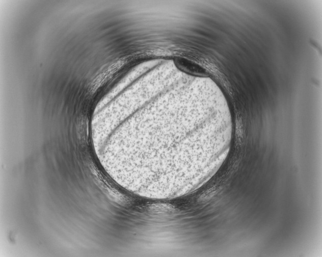 X0000101420397200807280943