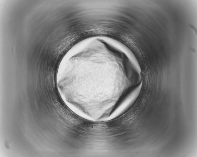 X0000101420398200807280943