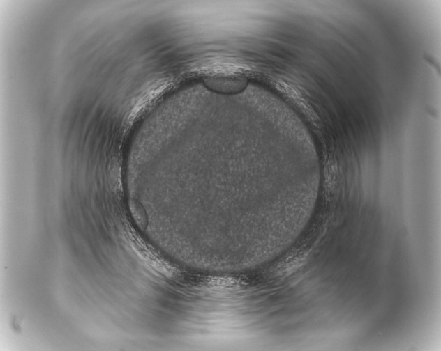 X0000101420399200807280943