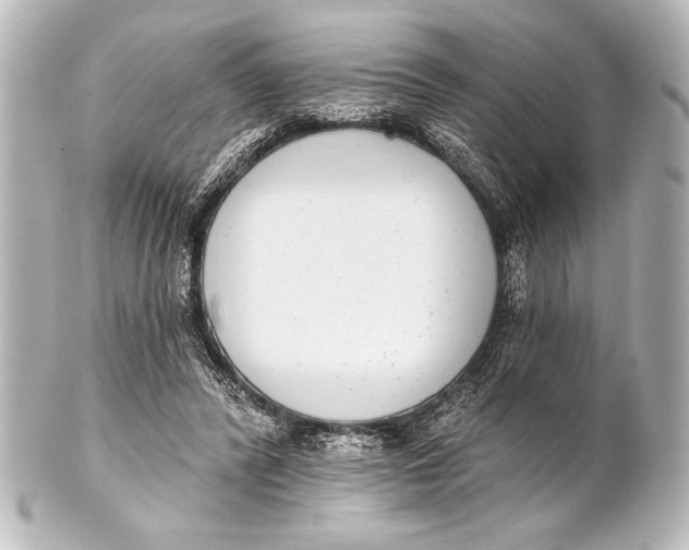 X0000101420400200807280943