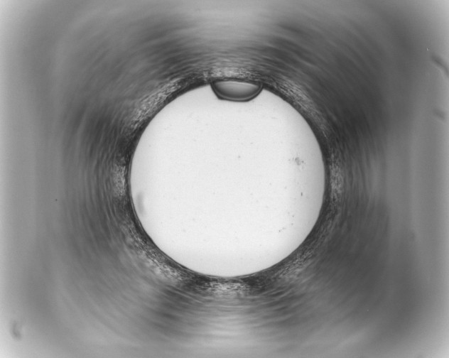X0000101420401200807280943