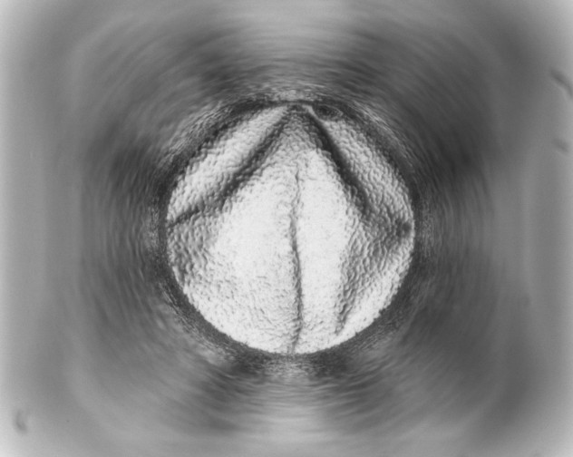 X0000101420402200807280943