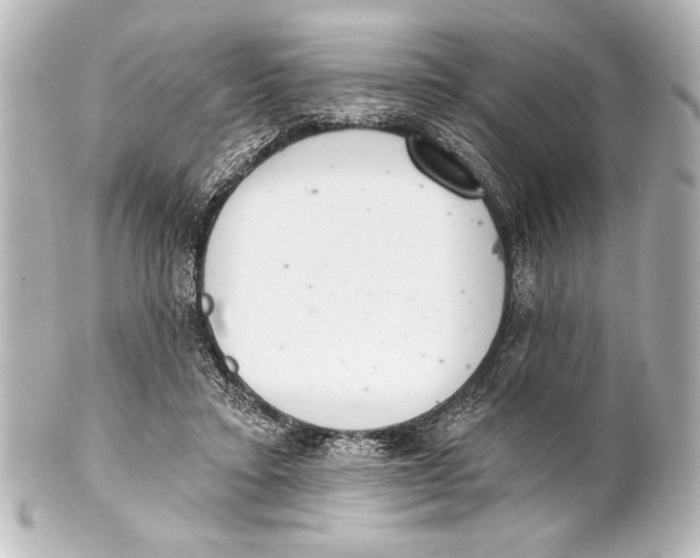 X0000101420403200807280943