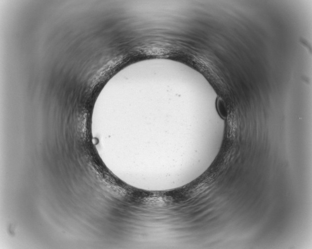 X0000101420404200807280943