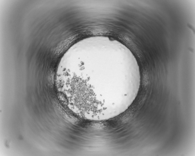 X0000101420405200807280943