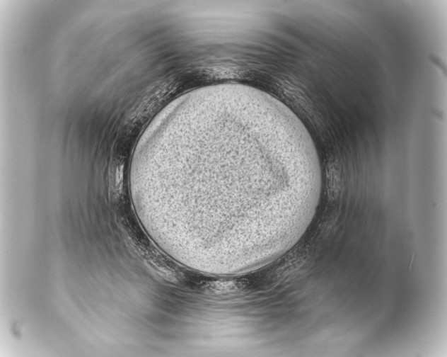X0000101420406200807280943