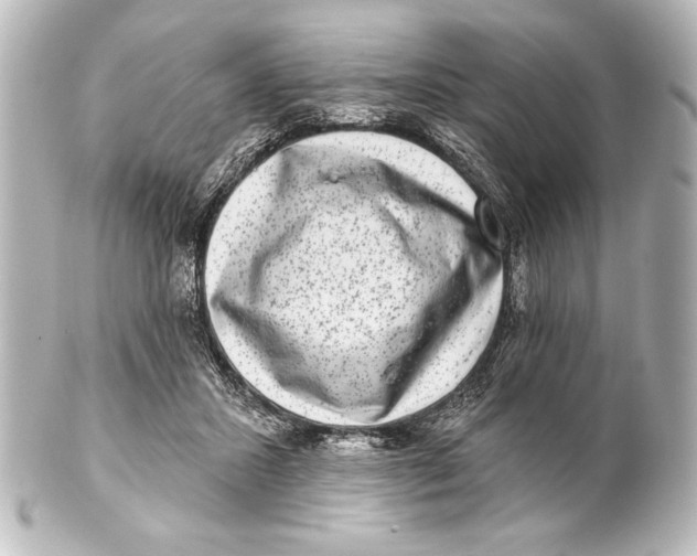 X0000101420407200807280943
