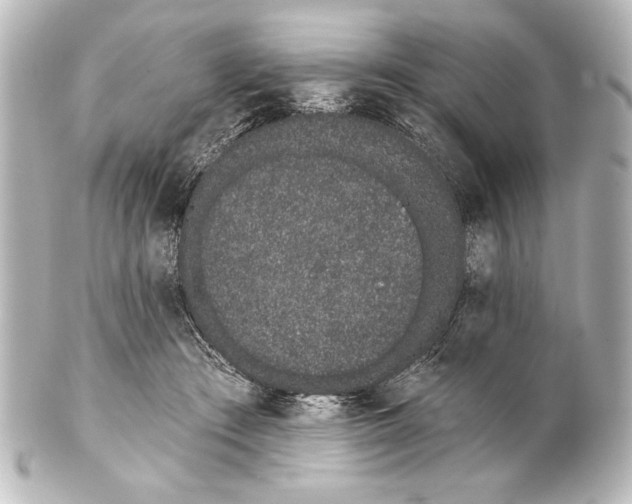 X0000101420409200807280942