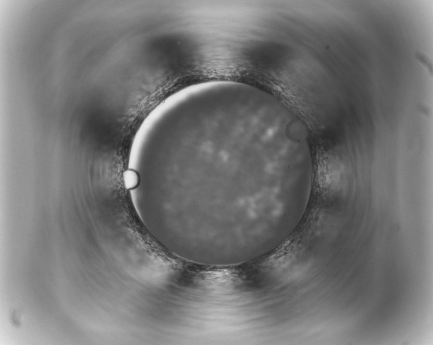 X0000101420411200807280942
