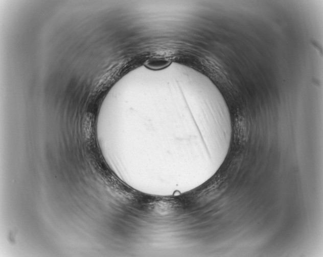 X0000101420412200807280942